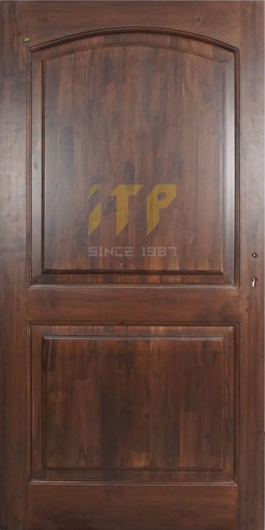 panel-door